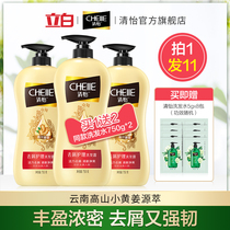 Qingyi ginger shampoo anti-itching oil amino acid ginger juice ginger treatment shampoo for men and women