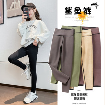 Girl Shark Beats Bottom Pants Plus Suede Spring Autumn Slim Outside Wearing New Ocean Qi Children Yoga Pants Big Boy Barbie Pants