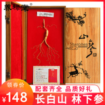 Yanglu Tang Changbai Mountain Whole Branches Under the Forest Wild Ginseng Gift Box Northeast Special Dry Ginseng Fresh Sodled Ginseng Soup