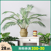 Nordic simulation green plant loose-tailed sunflower fake plant decoration living room desktop green plant decoration decoration small potted plant
