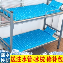 Net red waterbed water-cooled ice mat ice mat summer dormitory summer student dormitory single double cooling waterbed multifunctional