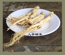 Medicinal material specimens Chinese medicine simulation model teaching aids Medical school science and education display Ganoderma lucidum Gastrodia dendrobium popularize Chinese medicinal materials