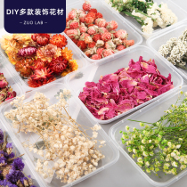  Dried flowers diy material boxed real flowers Air-dried forget-me-not pine cones roses starry natural high-end ins decoration