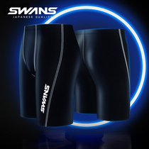 swans swimming trunks mens five-point pants professional anti-embarrassing swimming trunks plus size boxer pants equipment mens swimsuit set
