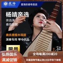 Beijing Xinghai Pipa Yang Jing producer pipa musical instrument 8974JZ acid branch wood adult pipa professional performance examination