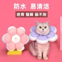 Elizabeth ring cat with pet sterilization cat collar collar collar anti-licking adjustable cat scarf head cover shame ring