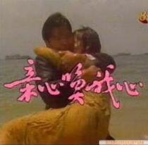 DVD Machine Edition My Heart and My Heart] Li Nanxing Zheng Huyu 35 Set of 4 Disc