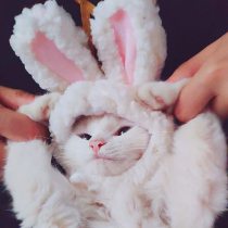 Kitty Hat Pet Cat Puppies Birthday Rabbit Ears Hat Cute Sell Cute Styling Photo Props Head Accessories