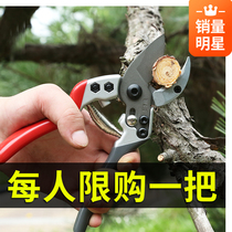 Gardening scissors flower scissors fruit tree branches pruning flowers scissors branches pruning artifact household