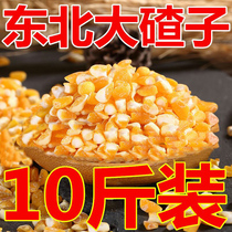 Northeast Dazi non-genetically modified corn dregs farmers dumb dacha coarse grain large ballasts porridge Corn Corn 10kg