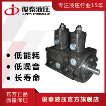 Spot Taiwanese double vp variable vane pump VP-DF-08-08-D hydraulic double pump hydraulic pump hydraulic pump