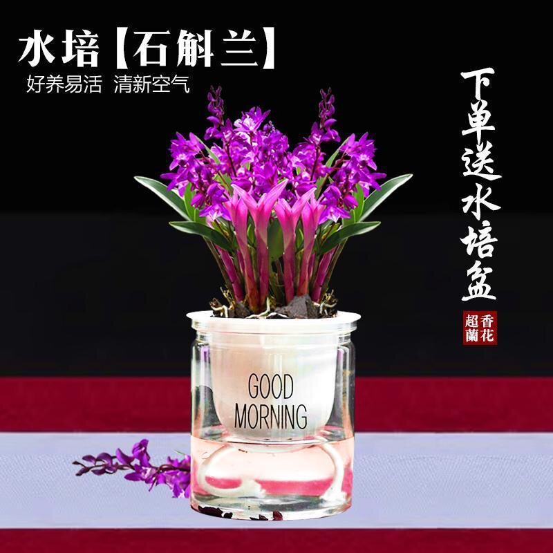 O1CN01x8chL62FpXZHTh8li_!!