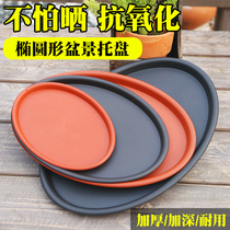 Flower pot tray Oval flower pot base Plastic flower pot base tray Pad basin chassis Bonsai tray Round plate
