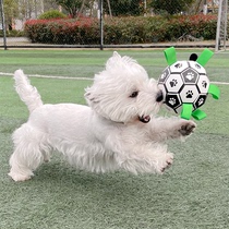 Dog football toys Bite-resistant boredom artifact Molar Pet interactive ball Dog Teddy Corgi supplies Puppy puppies