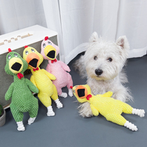 Dog toy resistant to bite molars plush voice dog puzzle puppies puppy screaming chicken bear Teddy pet