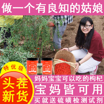 Xia Lixiang Chinese wolfberry Ningxia authentic Special Class 500g first stubble Zhongning Gouqi washing structure Ji tea male kidney Black