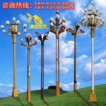 Chinese lamp Magnolia lampshade 6 square led module 5 stainless steel 8 meters hot galvanized 12 outdoor 10 road landscape lamp
