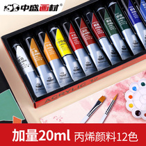 Zhongsheng painting material acrylic pigment 20ML waterproof painting shoes coated helmet 12 color 24 color set hand painted canvas shoes graffiti sneakers custom color change diy stone painting material dye clothes T-shirt