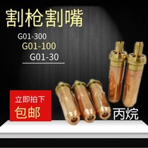 Propane cutting nozzle liquefied gas cutting gun nozzle Propane oxygen cutting gun 100 type acetylene 1 No. 2 Cutting torch gas cutting gun 30