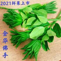 (Now picked and found) Jinhua bergamot fresh with branches of water culture fresh bergamot