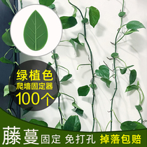 Green Luo Climbing Wall Fixed artifact Green Plant Fixer Climbing Unscarred Home Climbing Indoor Plant Vine Fixer