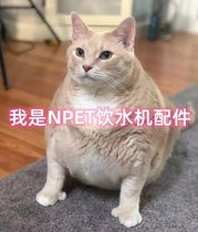 NPET pet water dispenser accessories round square transparent water pump adjustable water flow resistant dry burning automatic circulating water