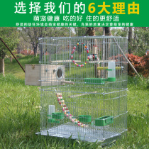Large raised breeding cage Large bird cage Xuanfeng Parrot Xuanfeng starling breeding cage Galvanized metal cage