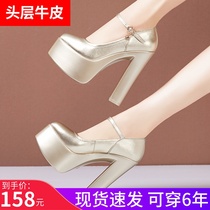 Golden 15CM leather super high heel catwalk model single shoes waterproof stage stage performance thick bottom cheongsam shoes women
