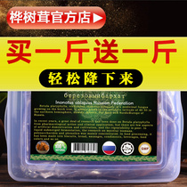 Birch antler Russian imported wild one catty of betularus 1 catty of special Birch natural insulin