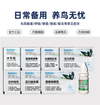 Glade parrot bird special medicine Cold diarrhea cough deworming Liver essence electrolyte common diseases Daquan Non-Kai pigeon