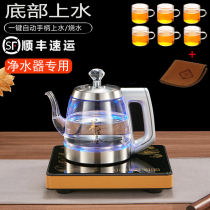 Electric tea stove household multifunctional office small automatic glass flower teapot cooking teapot tea cooker kettle