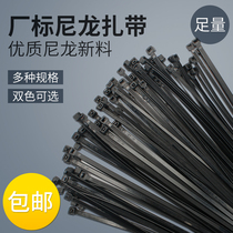Black self-locking nylon cable tie 4 * 200mm cable tie 500 wire fixing plastic strap