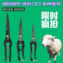 Wide-headed wool scissors special pure handmade strong scissors industrial grade rabbit cow horse mane pet leather manual