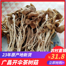 New goods Jiangxi Guangchang small cap thin rod open umbrella tea tree mushroom dry goods 500g rural direct sales