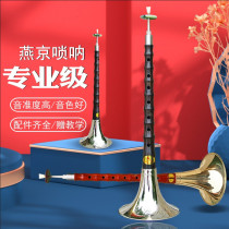 High-end century old mahogany suona professional performance adult suona big GA drop B C D small f tune full set of musical instruments