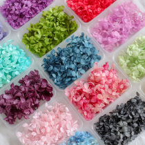 Meimuer Multi-purpose Immortal Hydrangea DIY Kindergarten Manual Salon Activity Decoration Dried Flower Material 5G Pack