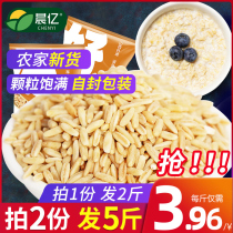 (Beat 1 Hair 2) morning billion oat rice oatmeal kernel farmer 2021 new rice germ rice barley coarse grain