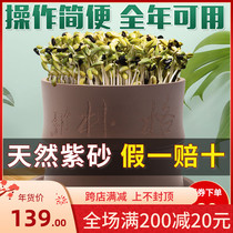 Bean sprouts machine home automatic large-capacity hair bean tooth vegetable bucket raw mung bean sprouts can homemade small seedling pot artifact