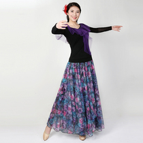 Fanxi dance Modern dance dress Ballroom dance skirt New summer national standard dance performance dress large swing half-body friendship dress