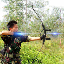 Bow and Arrow Warring Spirit Bow Armour Bow and Arrow Outdoor Shooting Competition Professional Shooting Bow and Arrow Detachable Bow and Arrow
