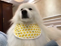 Pet saliva towel dog scarf jewelry triangle towel small and medium large dog golden hair Alasama bib mouth new products