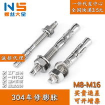 M6M8M10-M16 stainless steel 304 car repair expansion screw car repair gecko Bolt screw fastener