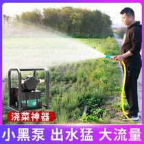 Rechargeable Pump Pump water irrigation battery watering machine for farmland watering machine watering vegetables