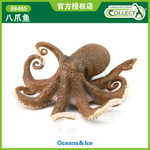  British CollectA I you he simulation marine animal model toy octopus squid 88485 octopus