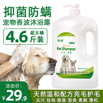 Pet shampoo dog shower gel sterilization acaricidal mite antipruritic deodorant deodorant deodorant deodorant body wash golden hair bath supplies VAT