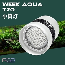 Wilkang LED full-spectrum goldfish exposed algae lanterns water grass downlights without polarization dimming WRGB professional fish tank bracket