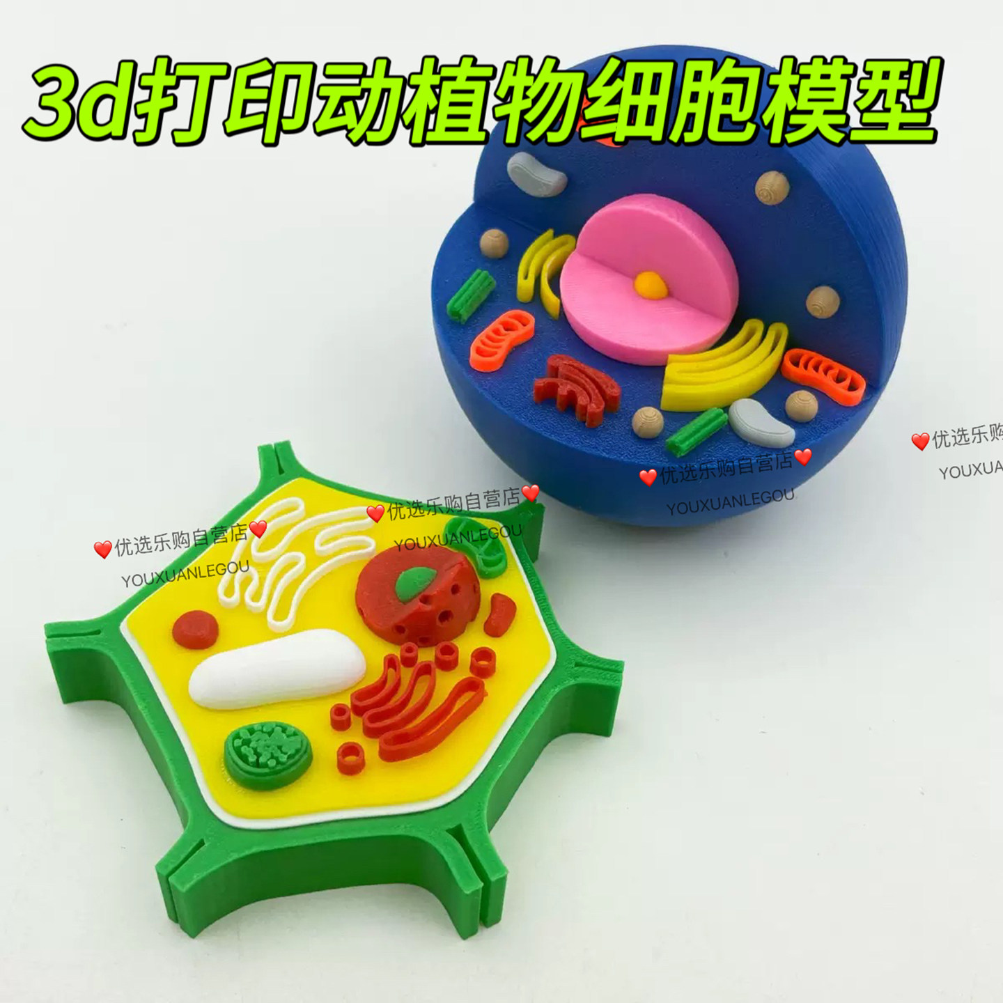 动植物细胞模型-动植物细胞模型促销价格、动植物细胞模型品牌- 淘宝, image size:1440x1440