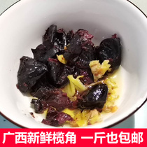 Black olive horn dried Guangxi specialty fresh pickled oil olive horn black olive 500g bottle porridge side breakfast