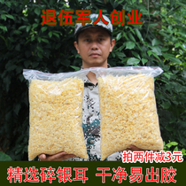 Gutian silver fungus dry goods fragments 500g sulfur-free fresh silver fungus fragments White wood fungus snow fungus waxy ear non-ugly ear fragments