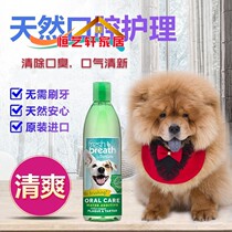 In addition to bad breath more beautiful cleaning teeth mouthwash dog cleaning pet prevention dental calculus adult dog shut pet supplies